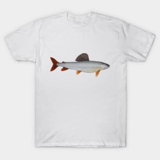 Kosogol Grayling T-Shirt